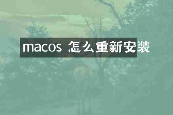 macos 怎么重新安装