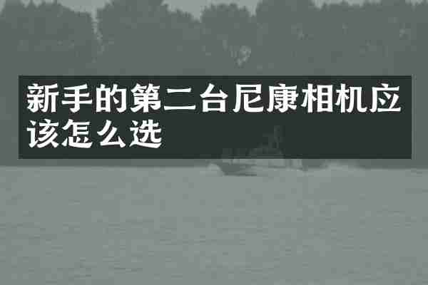 新手的第二台尼康相机应该怎么选