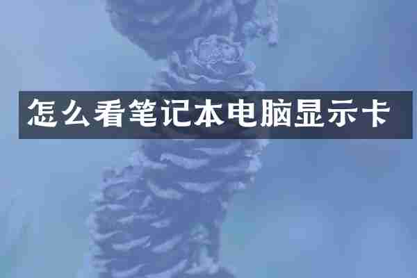 怎么看笔记本电脑显示卡