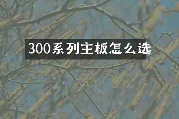 300系列主板怎么选