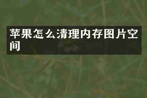 苹果怎么清理内存图片空间