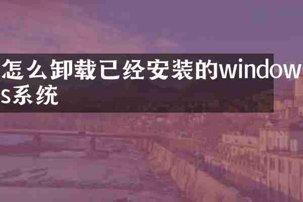 怎么卸载已经安装的windows系统