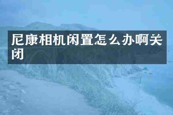 尼康相机闲置怎么办啊关闭