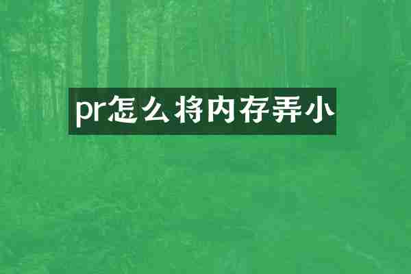 pr怎么将内存弄小