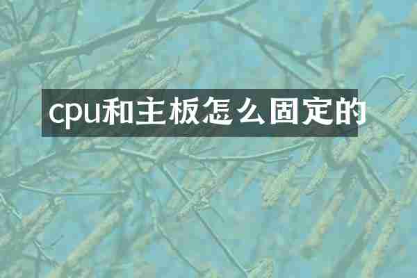 cpu和主板怎么固定的