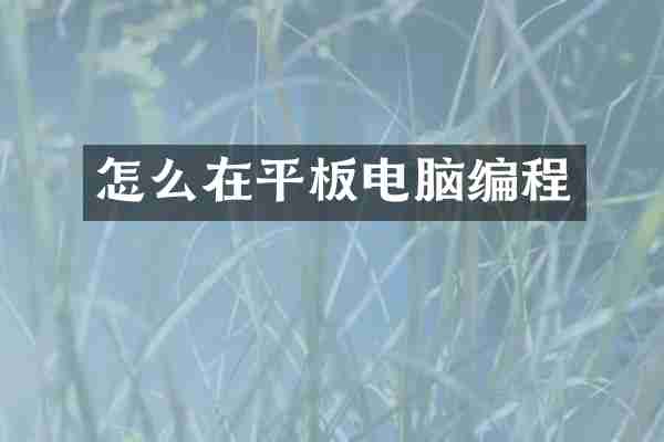 怎么在平板电脑编程