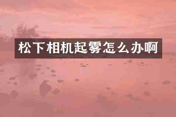 相机起雾怎么办啊