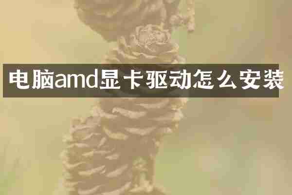 电脑amd显卡驱动怎么安装