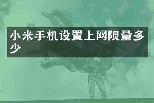 小米手机设置上网限量多少