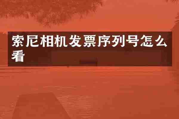 索尼相机发票序列号怎么看