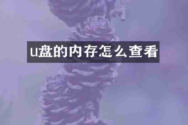 u盘的内存怎么查看