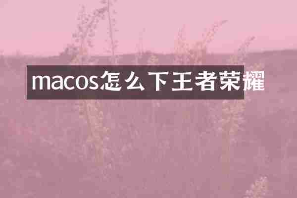 macos怎么下王者荣耀