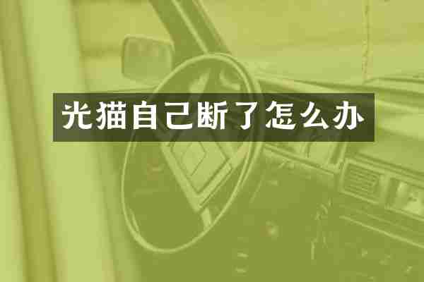 光猫自己断了怎么办
