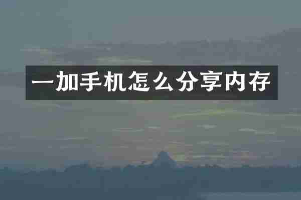 一加手机怎么分享内存