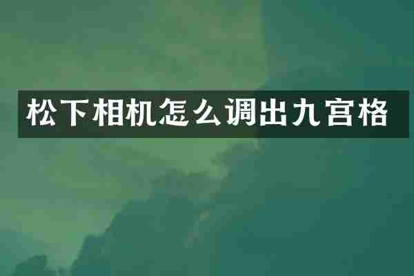 松下相机怎么调出九宫格