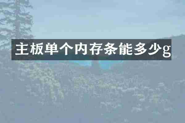 主板单个内存条能多少g