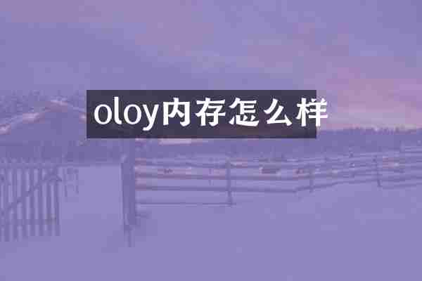 oloy内存怎么样
