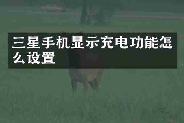 三星手机显示充电功能怎么设置