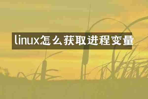 linux怎么获取进程变量