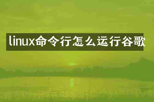 linux命令行怎么运行谷歌