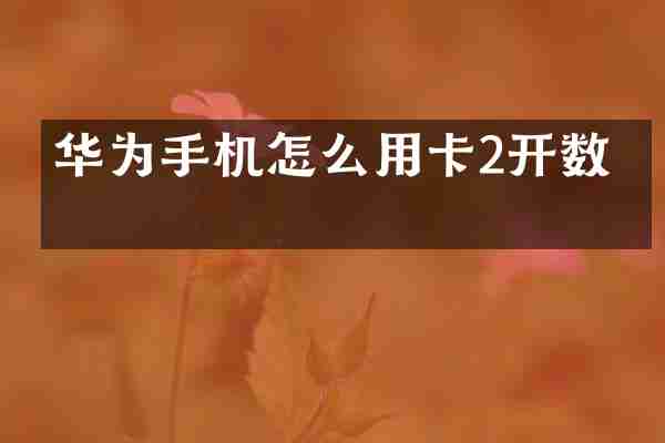 华为手机怎么用卡2开数据