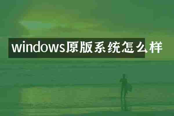 windows原版系统怎么样