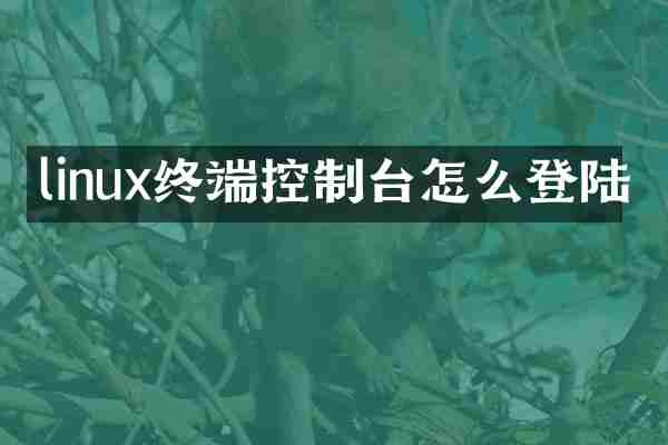 linux终端控制台怎么登陆