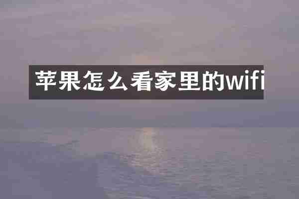 苹果怎么看家里的wifi