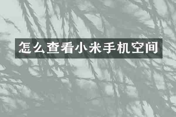 怎么查看小米手机空间