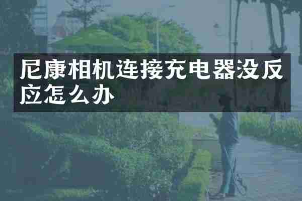 尼康相机连接充电器没反应怎么办