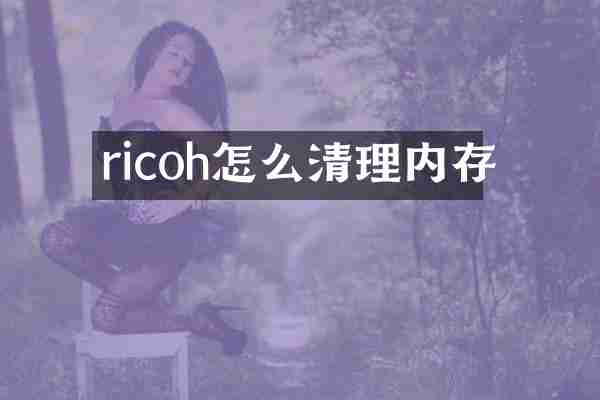 ricoh怎么清理内存