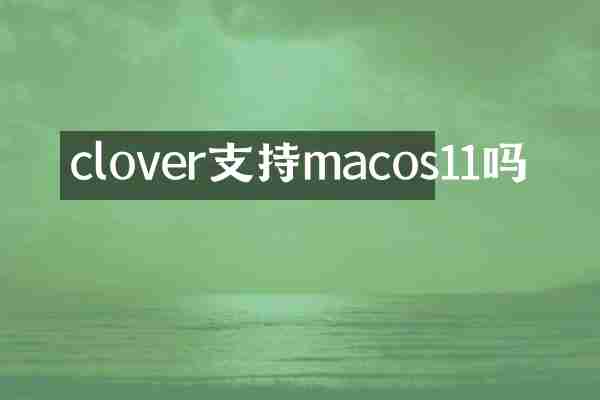 clover支持macos11吗