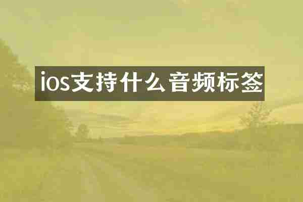 ios支持什么音频标签
