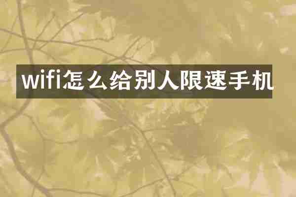 wifi怎么给别人限速手机