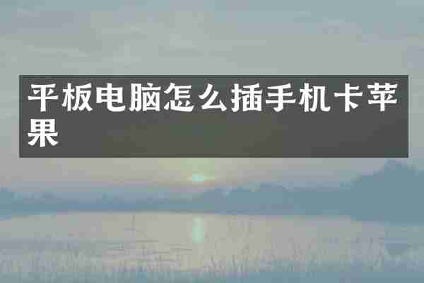 平板电脑怎么插手机卡苹果