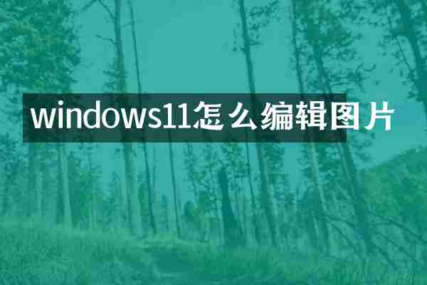 windows11怎么编辑图片