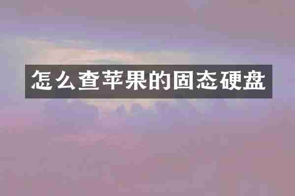 怎么查苹果的固态硬盘