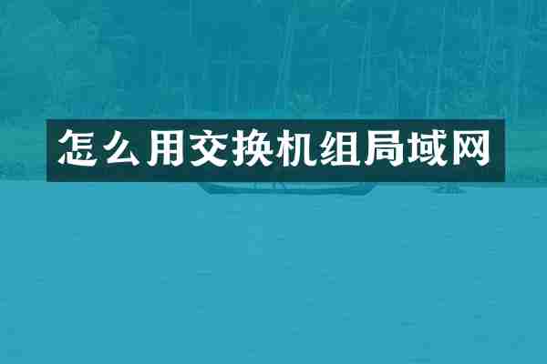 怎么用交换机组局域网