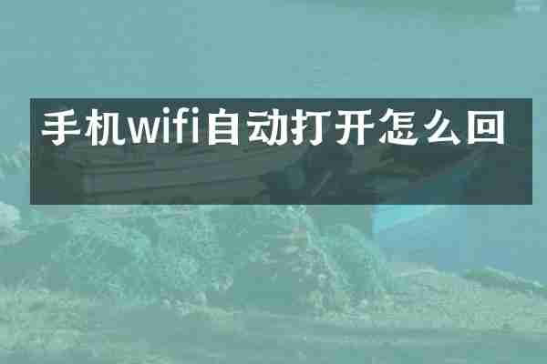 手机wifi自动打开怎么回事