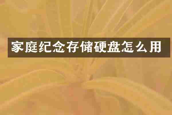 家庭纪念存储硬盘怎么用