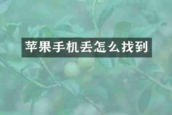 苹果手机丢怎么找到