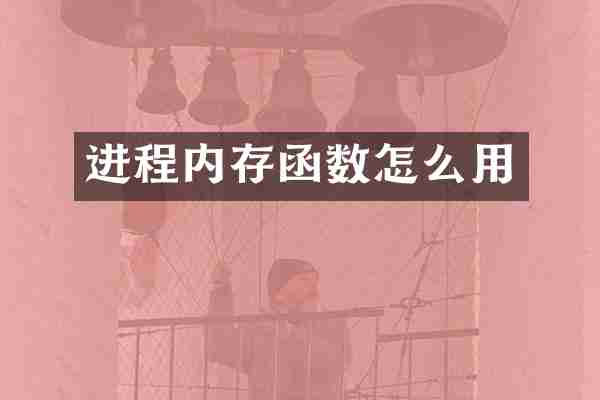 进程内存函数怎么用