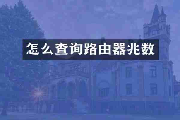 怎么查询路由器兆数