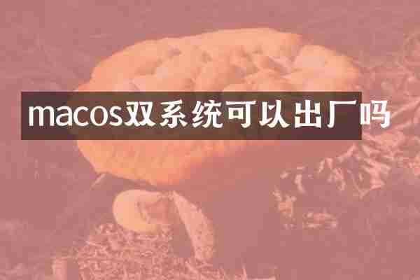macos双系统可以出厂吗