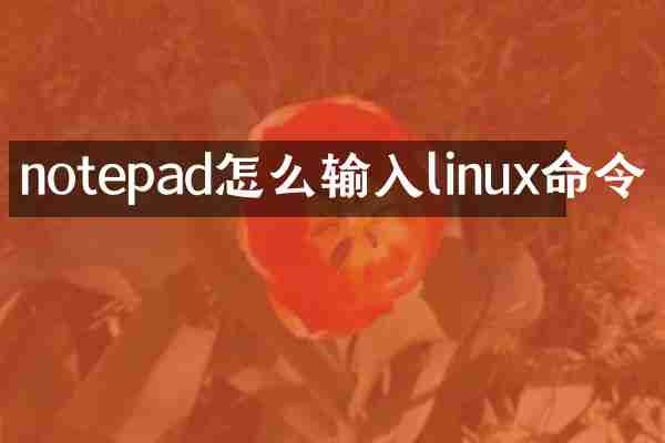 notepad怎么输入linux命令