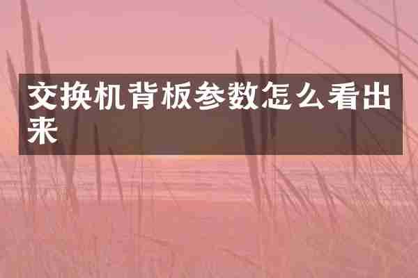 交换机背板参数怎么看出来
