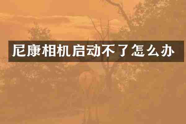 尼康相机启动不了怎么办