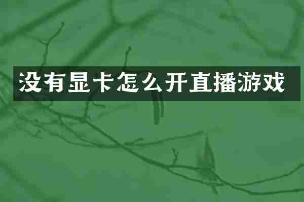 没有显卡怎么开直播游戏