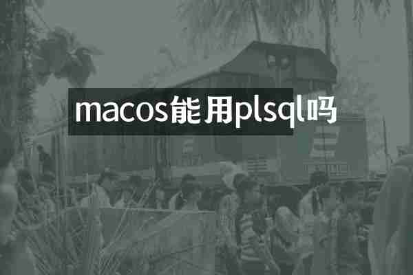 macos能用plsql吗