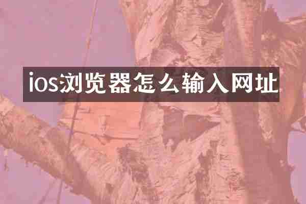 ios浏览器怎么输入网址